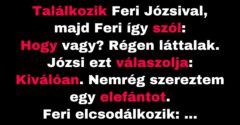 Józsi elad egy elefántot a barátjának, Ferinek (Vicc)