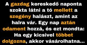 A gazdag boltos találkozik a szegény halásszal (Vicc)