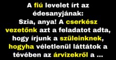 A fiú levelet írt az édesanyjának az élményeiről (Vicc)