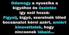 A nyúl bocsánatot kér a kígyótól a viselkedéséért (Vicc)