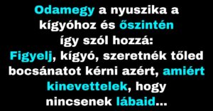 A nyúl bocsánatot kér a kígyótól a viselkedéséért (Vicc)