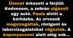 A gyalogosátkelőn a férfit elgázolja egy autó, és üzenetet küld a feleségének (Vicc)