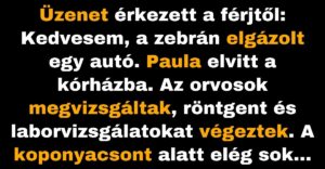 A gyalogosátkelőn a férfit elgázolja egy autó, és üzenetet küld a feleségének (Vicc)