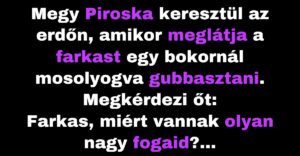 Piroska a kíváncsiságával kiprovokálja a farkast (Vicc)