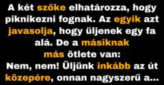 A két szőke azon gondolkodik, hogy hol piknikezzenek (Vicc)