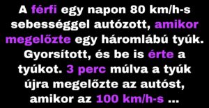 Az autós férfit megelőzte egy háromlábú tyúk (Vicc)