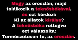 Az oroszlán az állatokat kérdezi, hogy ki az ő királyuk (Vicc)