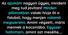 Anyának nem tetszett, hogy apa mindenkinek segíteni jár (Vicc)