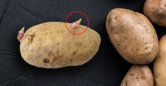 Tökéletes segítők a burgonya csírázása ellen. Csak dobd őket a krumpli mellé a ládába vagy a zsákba