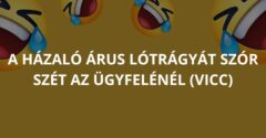 A házaló árus lótrágyát szór szét az ügyfelénél (Vicc)