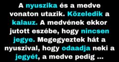 A medve kihasználta a nyuszikát a vonaton (Vicc)