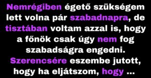 A férfi kitalálta, hogyan kapjon szabadságot a főnökétől (Vicc)