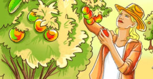 Nem az almafán termő uborka az egyetlen képtelenség ezen a képen. Meg tudod találni az összes ellentmondást?