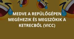 Medve a repülőgépen megéhezik és megszökik a ketrecből (Vicc)