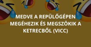 Medve a repülőgépen megéhezik és megszökik a ketrecből (Vicc)