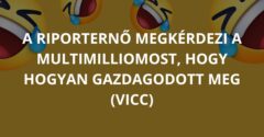 A riporternő megkérdezi a multimilliomost, hogy hogyan gazdagodott meg (Vicc)