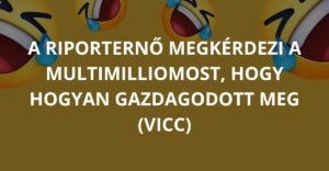 A riporternő megkérdezi a multimilliomost, hogy hogyan gazdagodott meg (Vicc)