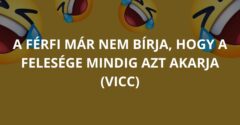 A férfi már nem bírja, hogy a felesége mindig azt akarja (Vicc)