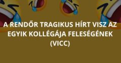 A rendőr tragikus hírt visz az egyik kollégája feleségének (Vicc)