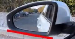Felejtsd el a szenzorokat: ezzel a 30 centiméteres trükkel úgy leparkolsz, mint egy profi
