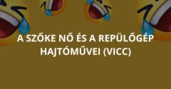 A szőke nő és a repülőgép hajtóművei (Vicc)