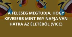 A feleség megtudja, hogy kevesebb mint egy napja van hátra az életéből (Vicc)