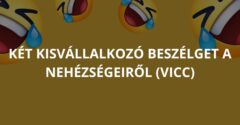 Két kisvállalkozó beszélget a nehézségeiről (Vicc)