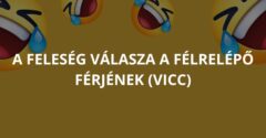 A feleség válasza a félrelépő férjének (Vicc)