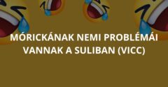 Mórickának nemi problémái vannak a suliban (Vicc)