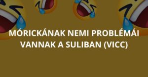 Mórickának nemi problémái vannak a suliban (Vicc)