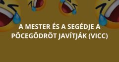 A mester és a segédje a pöcegödröt javítják (Vicc)