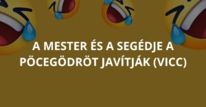 A mester és a segédje a pöcegödröt javítják (Vicc)