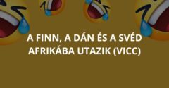 A finn, a dán és a svéd Afrikába utazik (Vicc)