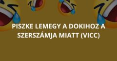 Piszke lemegy a dokihoz a szerszámja miatt (Vicc)