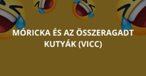 Móricka és az összeragadt kutyák (Vicc)