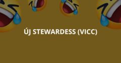 Új stewardess (Vicc)