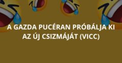 A gazda pucéran próbálja ki az új csizmáját (Vicc)