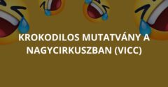 Krokodilos mutatvány a Nagycirkuszban (Vicc)