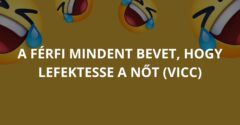 A férfi mindent bevet, hogy lefektesse a nőt (Vicc)