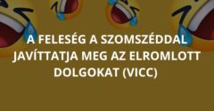 A feleség a szomszéddal javíttatja meg az elromlott dolgokat (Vicc)