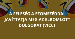 A feleség a szomszéddal javíttatja meg az elromlott dolgokat (Vicc)