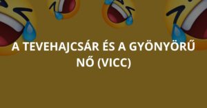 A tevehajcsár és a gyönyörű nő (Vicc)