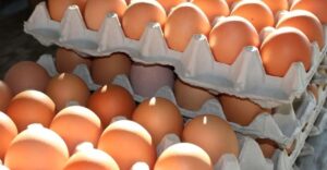 Hova tartoznak a papír tojástartók? Sokan ugyanazt a hibát követik el, amikor kidobják őket