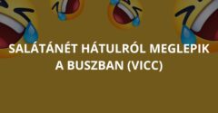 Salátánét hátulról meglepik a buszban (Vicc)