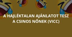 A hajléktalan ajánlatot tesz a csinos nőnek (Vicc)