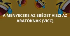A menyecske az ebédet viszi az aratóknak (Vicc)