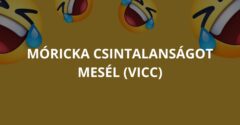 Móricka csintalanságot mesél (Vicc)