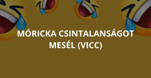 Móricka csintalanságot mesél (Vicc)