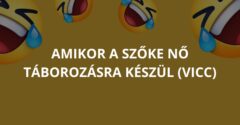 Amikor a szőke nő táborozásra készül (Vicc)