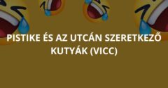 Pistike és az utcán szeretkező kutyák (Vicc)